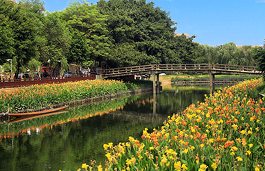 广东东莞·麻涌“美丽水乡”规划设计