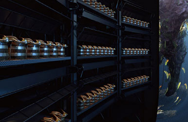 陕西西安·丝路欢乐世界